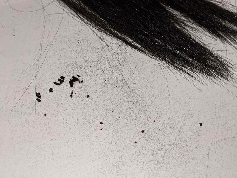 ふりかけ過ぎたスーパーミリオンヘアーがダマになって取れてしまった様子