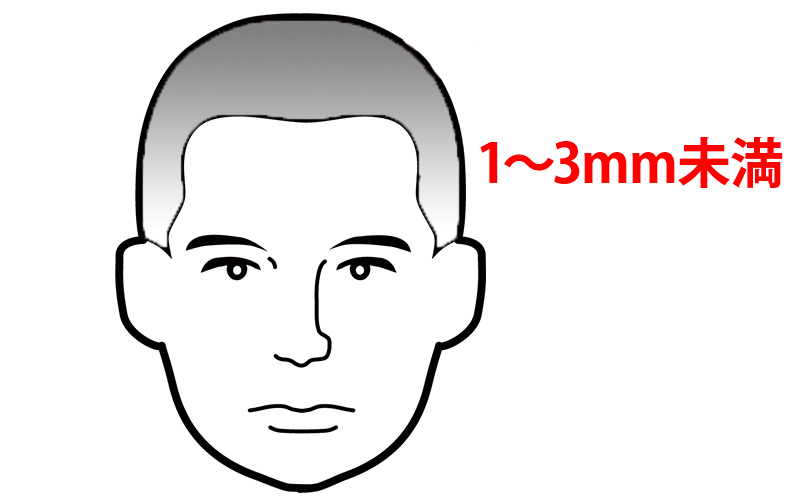 髪の長さ 1～3未満