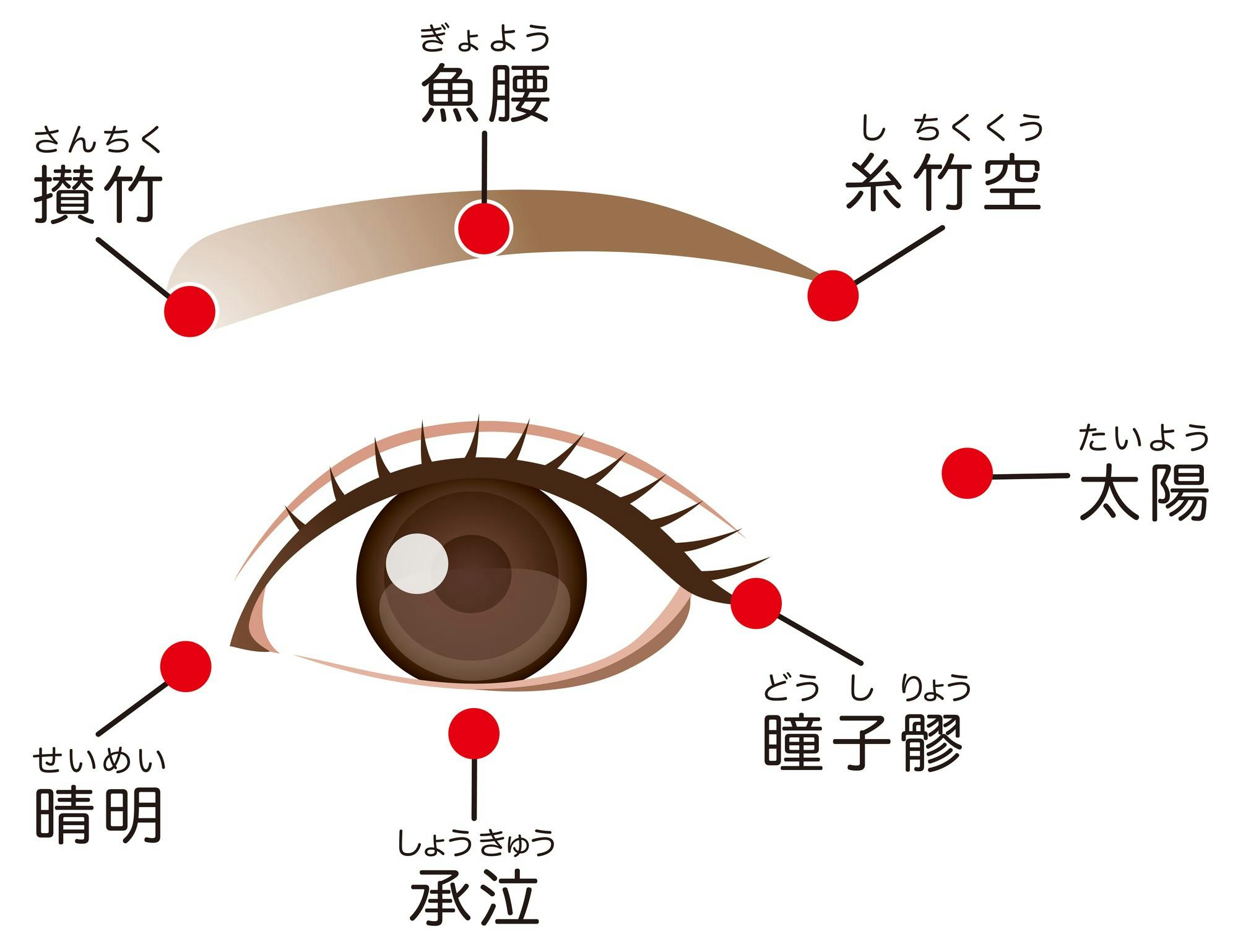 「清明」「太陽」「魚腰」など、目の周りのツボを図解したイラスト