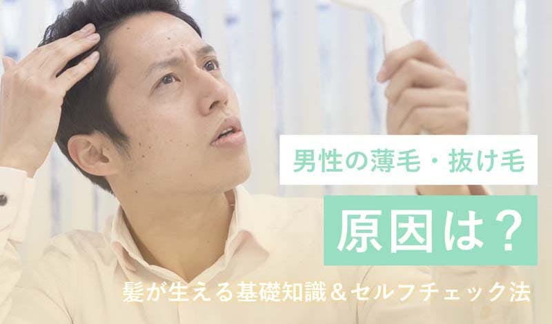 男性の薄毛・抜け毛の原因は？髪が生える基礎知識とセルフチェック法