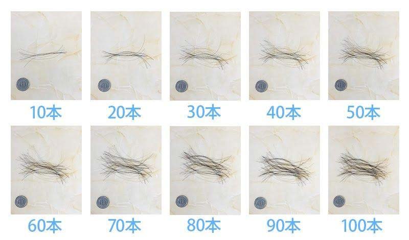 本数別の抜け毛の量のイメージ画像(10本~100本)