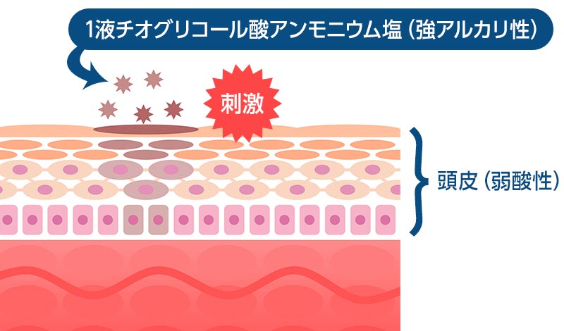 パーマ液による頭皮への刺激