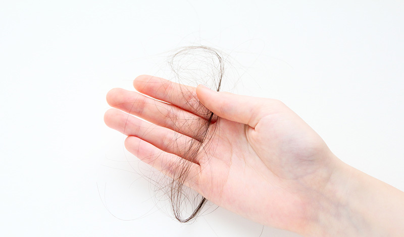 手に抜けた毛の束を持つ様子