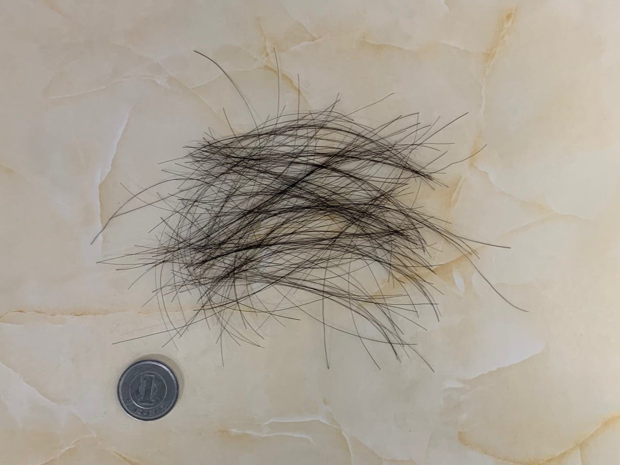 200本の抜け毛の量のイメージ画像