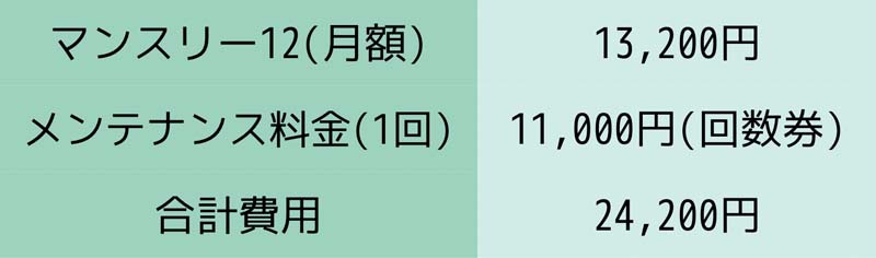 増髪で月に掛かる費用（税込）をまとめた表 マンスリー12（13,200円/月）+回数券でのメンテナンス料金（11,000円/回）=増髪費用（24,200円/月）