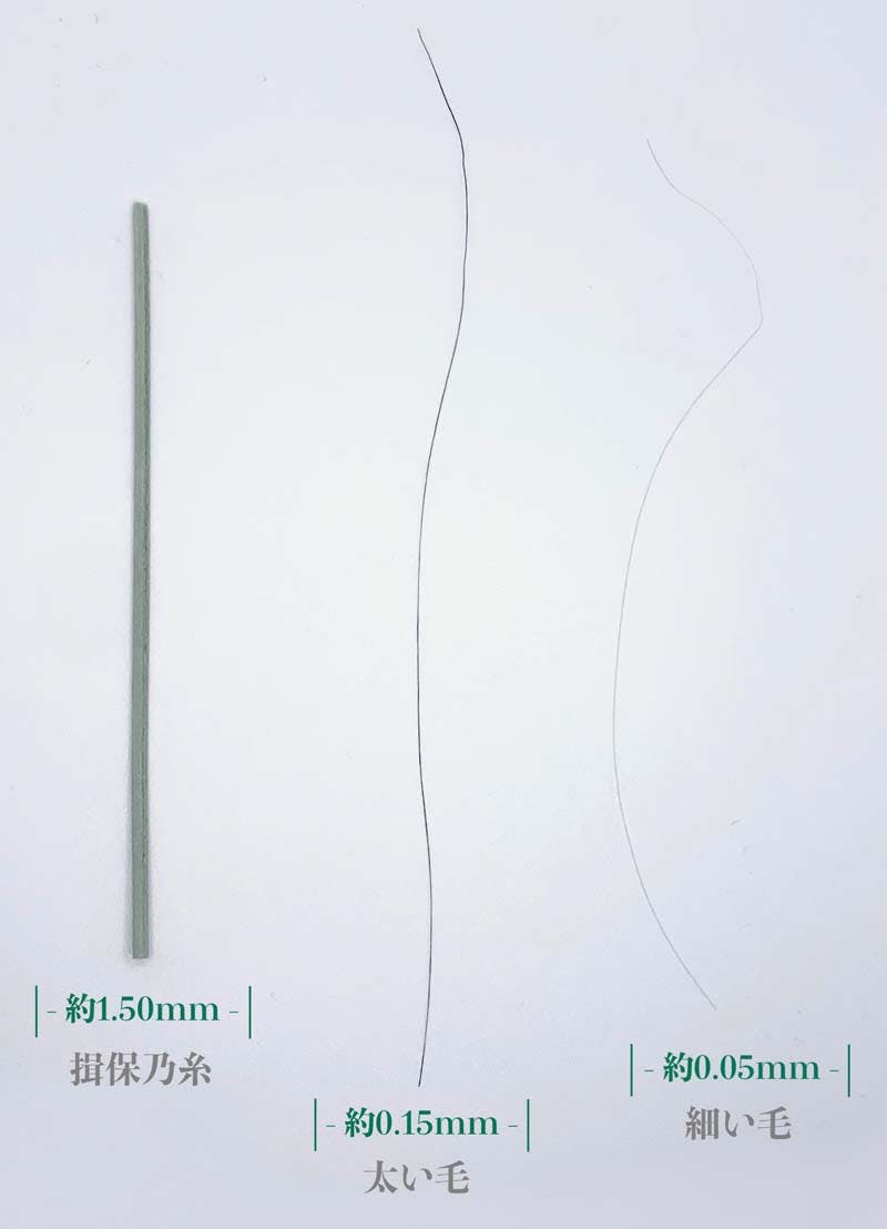 揖保乃糸と太毛・細毛の太さを比べたイメージ画像