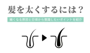 髪を太くするには？細くなる原因と日頃から意識したいポイントを紹介