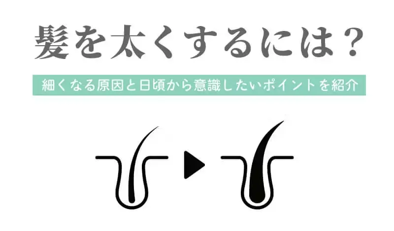 髪を太くするには？細くなる原因と日頃から意識したいポイントを紹介