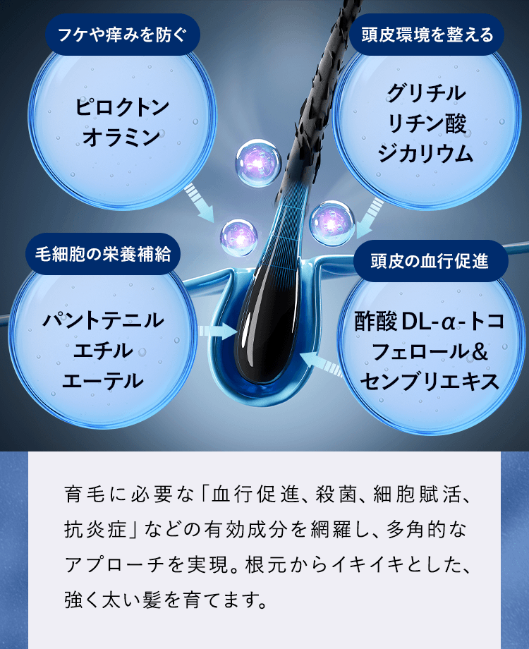 フケや痒みを防ぐピロクトンオラミン、頭皮環境を整えるグリチルリチン酸ジカリウム、毛細胞の栄養補給パントテニルエチルエーテル、頭皮の血行促進酢酸DL-α-トコフェロール&センブリエキス