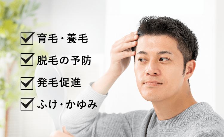 育毛・養毛、脱毛の予防、発毛促進、ふけ・かゆみ
