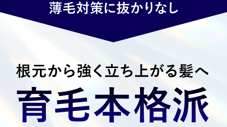 根元から強く立ち上がる髪へ育毛本格派