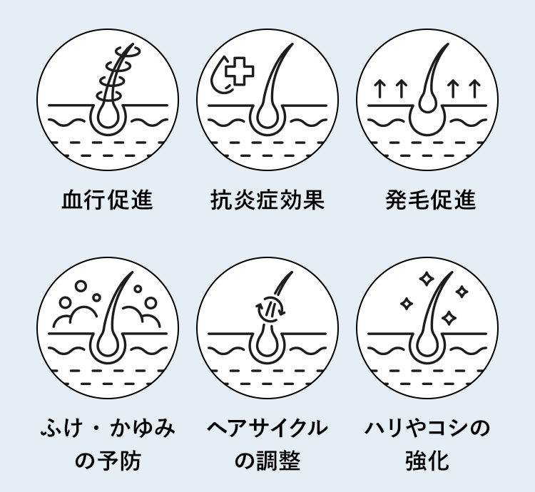 血行促進、抗炎症効果、発毛促進…
