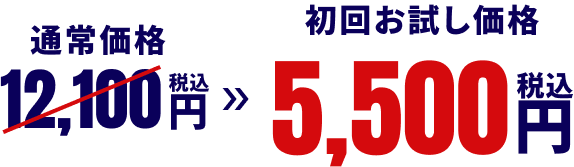 通常価格12,100円（税込）⇒初回お試し価格5,500円（税込）