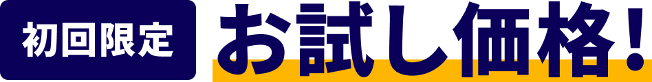 初回限定 お試し価格!