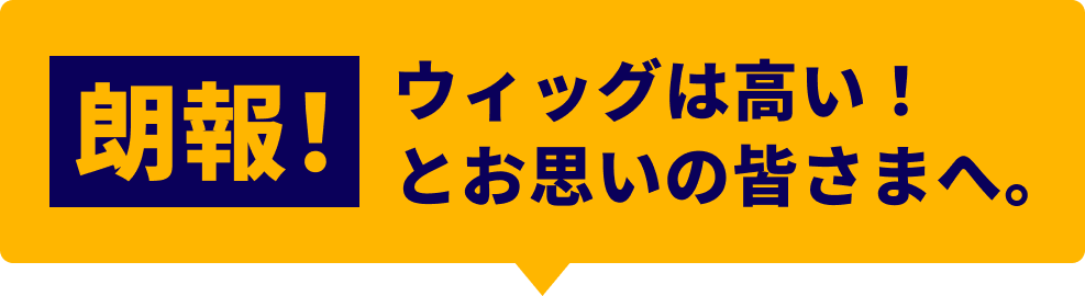 朗報！ ウィッグは高い！とお思いの皆さまへ。