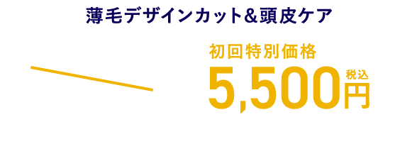 薄毛デザインカット＆頭皮ケア 通常価格7,700円(税込)が 初回特別価格5,500円(税込)