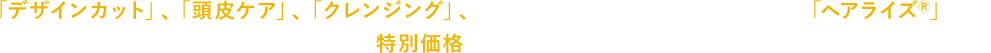 「デザインカット」、「頭皮ケア」、「クレンジング」、地毛を特殊コーティングで太くする「ヘアライズ®」まで。初回限定の特別価格にて、お試しいただけます。