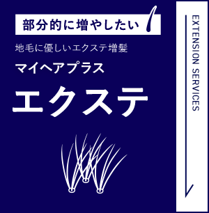 部分的に増やしたい 地毛に優しいエクステ増髪マイヘアプラス エクステ EXTENSION SERVICES