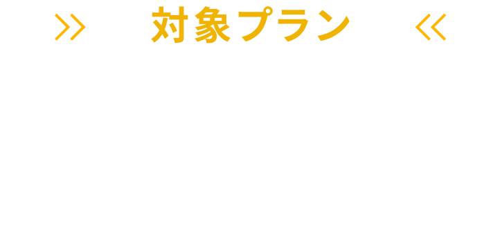 対象プラン ウィッグ・サービス
