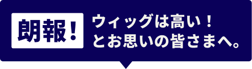 朗報！ ウィッグは高い！とお思いの皆さまへ。