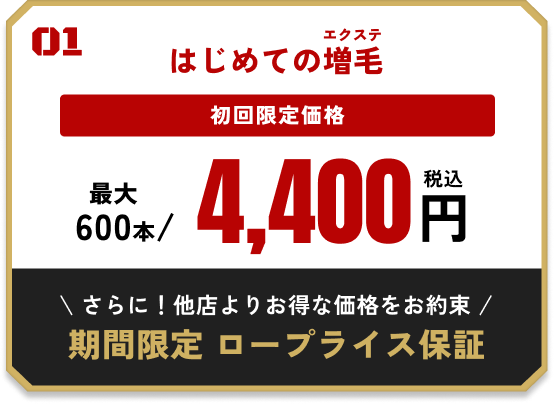 01 はじめての増毛 初回限定価格 最大600本/4,400円（税込） さらに！他店よりお得な価格をお約束！期間限定 ロープライス保証