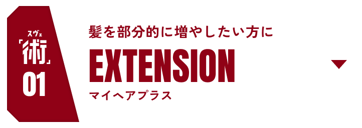 術01 髪を部分的に増やしたい方にEXTENSION