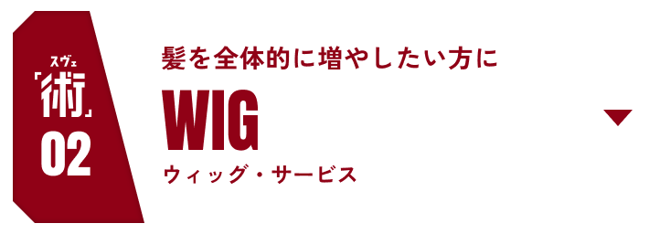 術02 髪を全体的に増やしたい方にWIG