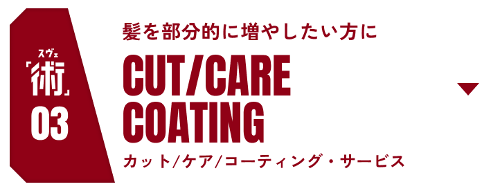 術03 髪を部分的に増やしたい方にCUT/CARE COATING