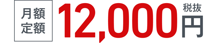 月額12,000円（税抜）※13,200円（税込）